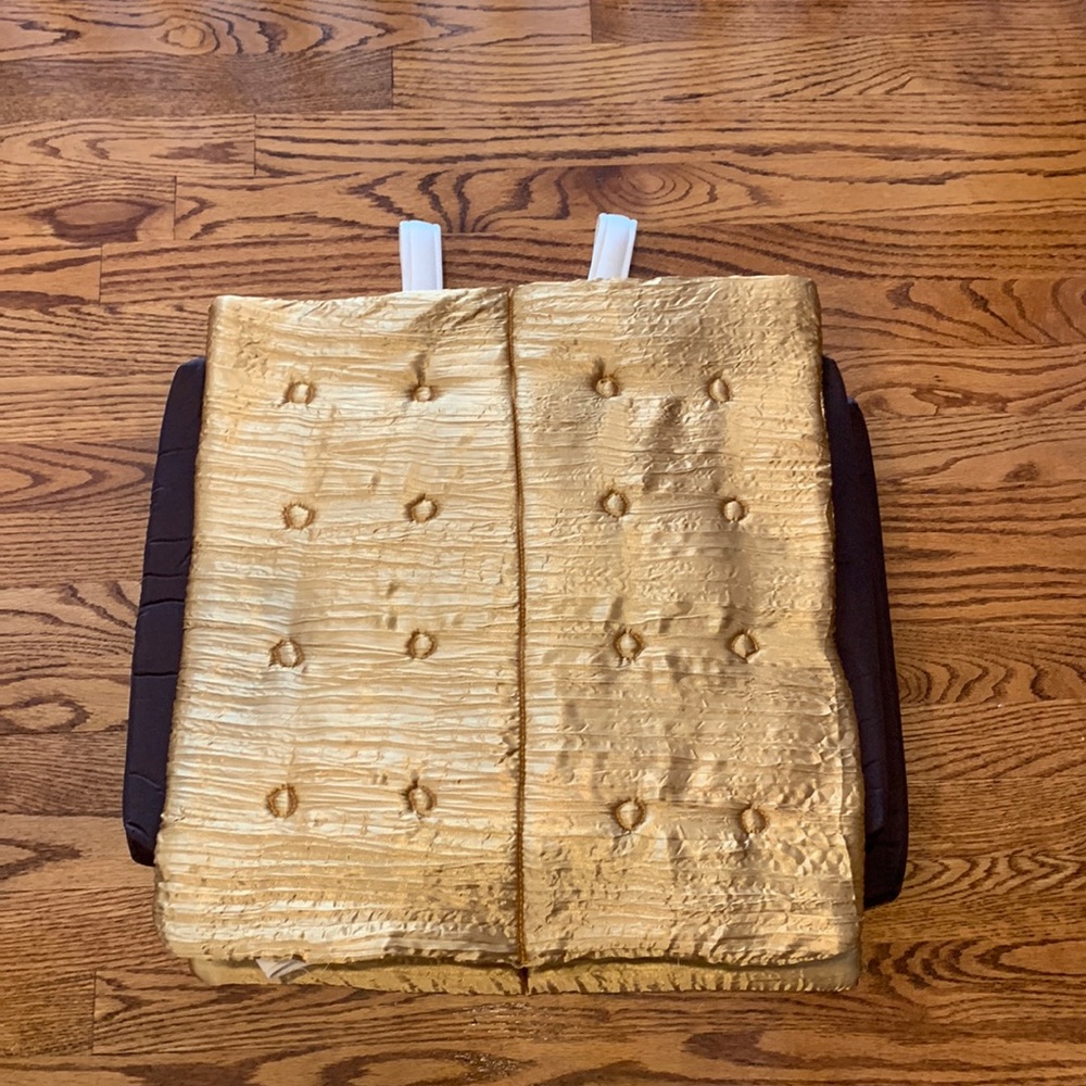 S’mores costume